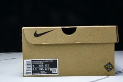 Nike ACG Mountain Fly Low GTX SE DD2861 001
