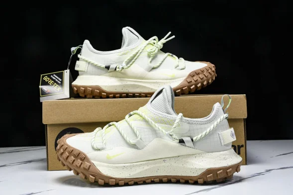 Nike ACG Mountain Fly Low GTX SE DD2861 001 