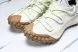 Nike ACG Mountain Fly Low GTX SE DD2861 001 