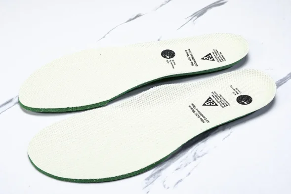 Nike ACG Mountain Fly Low GTX SE DD2861 001 