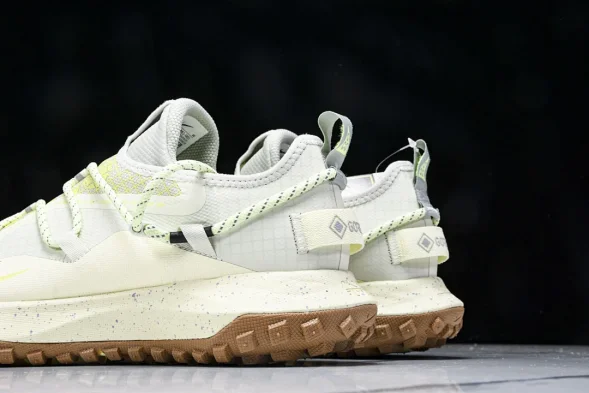 Nike ACG Mountain Fly Low GTX SE DD2861 001 
