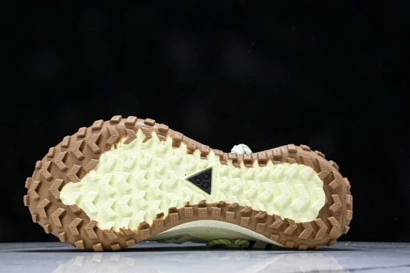Nike ACG Mountain Fly Low GTX SE DD2861 001 
