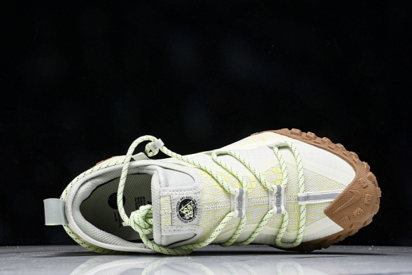 Nike ACG Mountain Fly Low GTX SE DD2861 001 