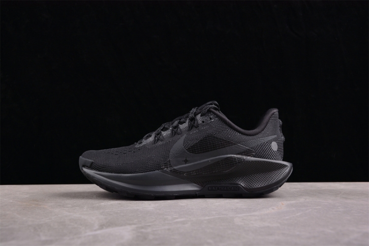  Nike Pegasus Trail 5 DV3864-002
