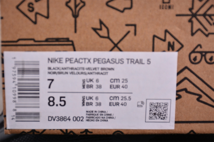  Nike Pegasus Trail 5 DV3864-002