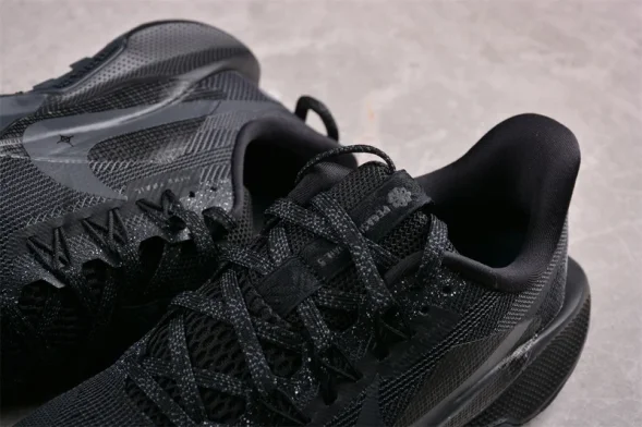 Nike Pegasus Trail 5 DV3864-002 