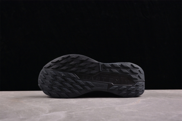 Nike Pegasus Trail 5 DV3864-002 