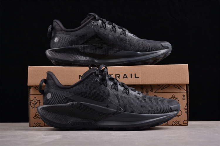  Nike Pegasus Trail 5 DV3864-002