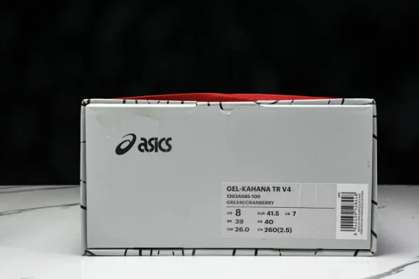 Asics Gel-Kahana TR V4 1203A585-100 