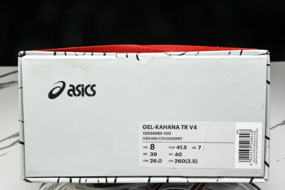 Asics Gel-Kahana TR V4 1203A585-100 