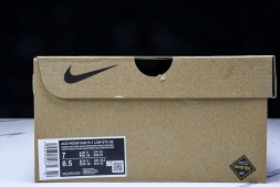 Nike ACG Mountain Fly Low GTX SE DQ1979-500