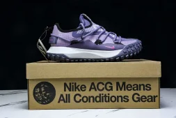 Nike ACG Mountain Fly Low GTX SE DQ1979-500