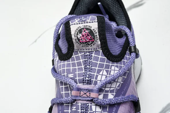 Nike ACG Mountain Fly Low GTX SE DQ1979-500 