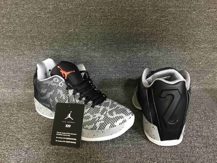 Nike Air Jordan 29 Low 828051-003 