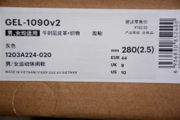 Asics Gel-1090 v2 1203A224-020