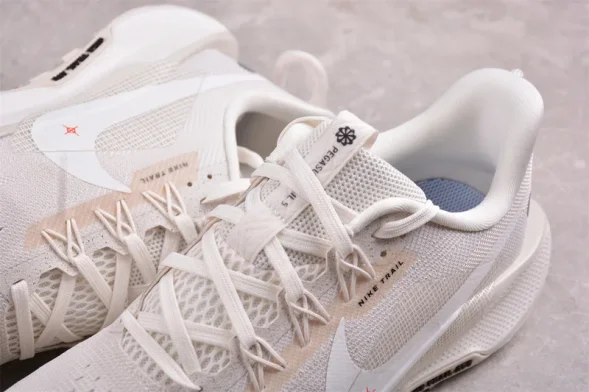 Nike Pegasus Trail 5 DV3864-003 