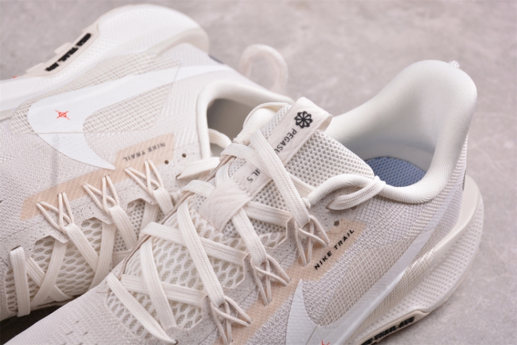  Nike Pegasus Trail 5 DV3864-003