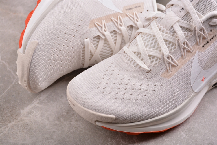  Nike Pegasus Trail 5 DV3864-003