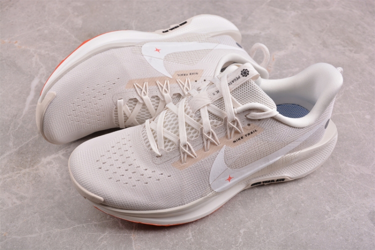  Nike Pegasus Trail 5 DV3864-003