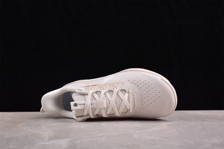  Nike Pegasus Trail 5 DV3864-003