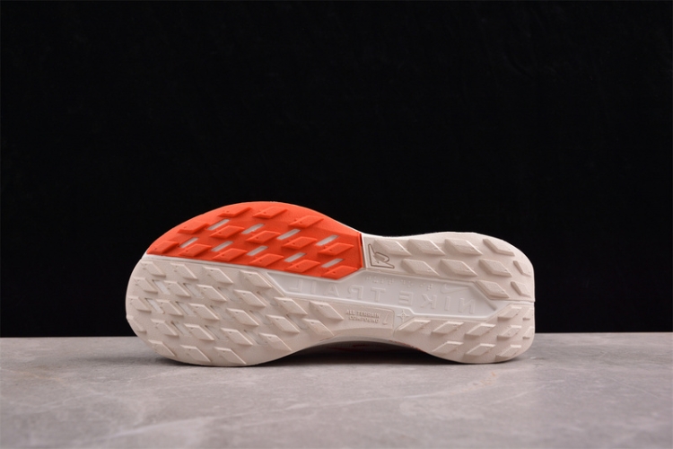  Nike Pegasus Trail 5 DV3864-003