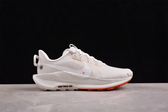 Nike Pegasus Trail 5 DV3864-003 