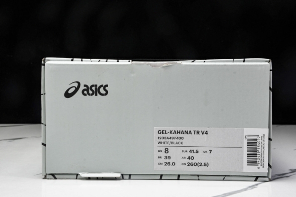 Asics Gel-Kahana TR V4 1203A497-100 