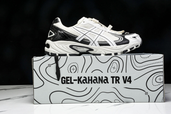 Asics Gel-Kahana TR V4 1203A497-100 