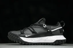 Nike ACG Mountain Fly Low GTX SE DD2861 010