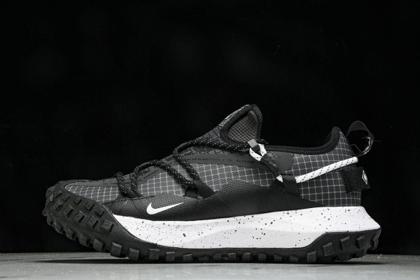 Nike ACG Mountain Fly Low GTX SE DD2861 010 