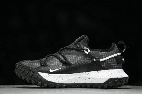 Nike ACG Mountain Fly Low GTX SE DD2861 010 
