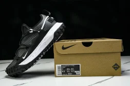 Nike ACG Mountain Fly Low GTX SE DD2861 010