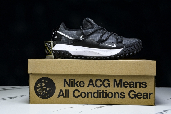 Nike ACG Mountain Fly Low GTX SE DD2861 010 