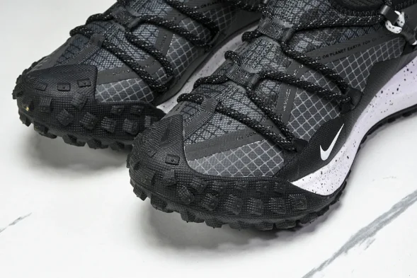 Nike ACG Mountain Fly Low GTX SE DD2861 010 