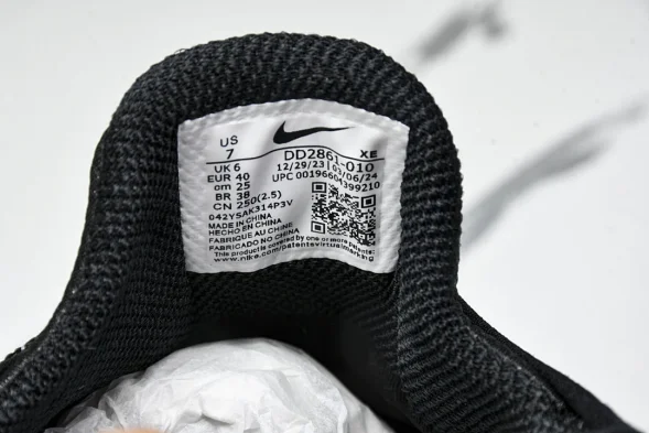 Nike ACG Mountain Fly Low GTX SE DD2861 010 