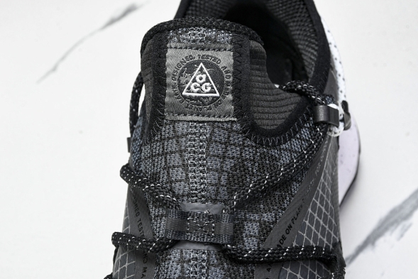 Nike ACG Mountain Fly Low GTX SE DD2861 010 