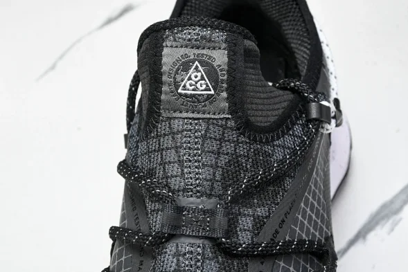 Nike ACG Mountain Fly Low GTX SE DD2861 010 
