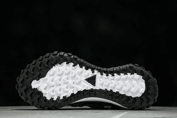 Nike ACG Mountain Fly Low GTX SE DD2861 010 
