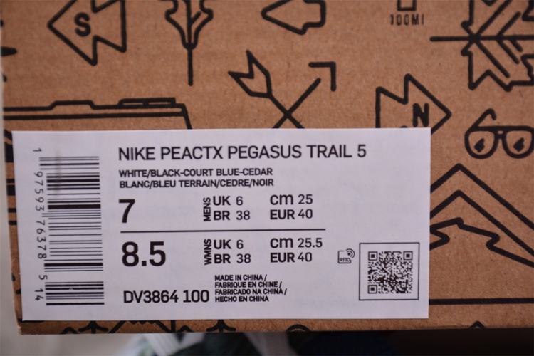  Nike Pegasus Trail 5 DV3864-100