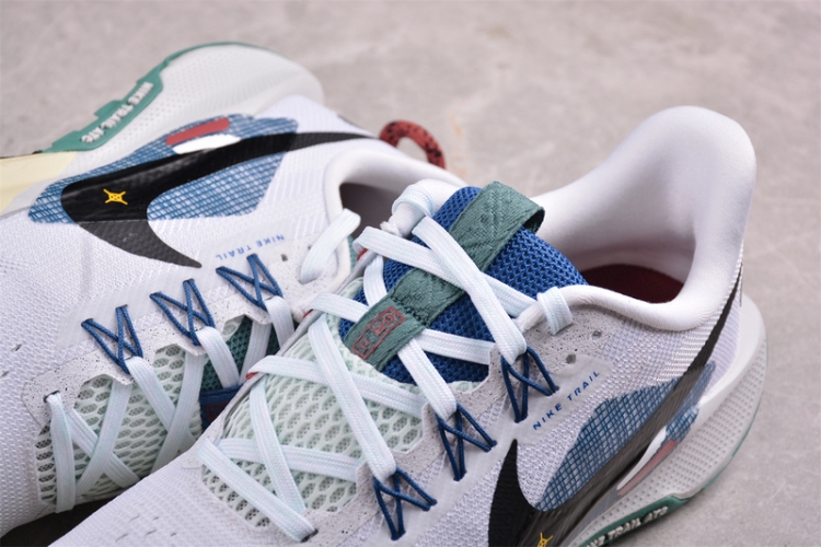  Nike Pegasus Trail 5 DV3864-100