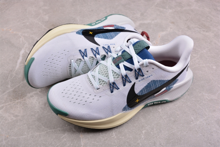  Nike Pegasus Trail 5 DV3864-100