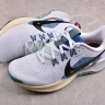 Nike Pegasus Trail 5 DV3864-100