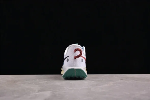 Nike Pegasus Trail 5 DV3864-100 