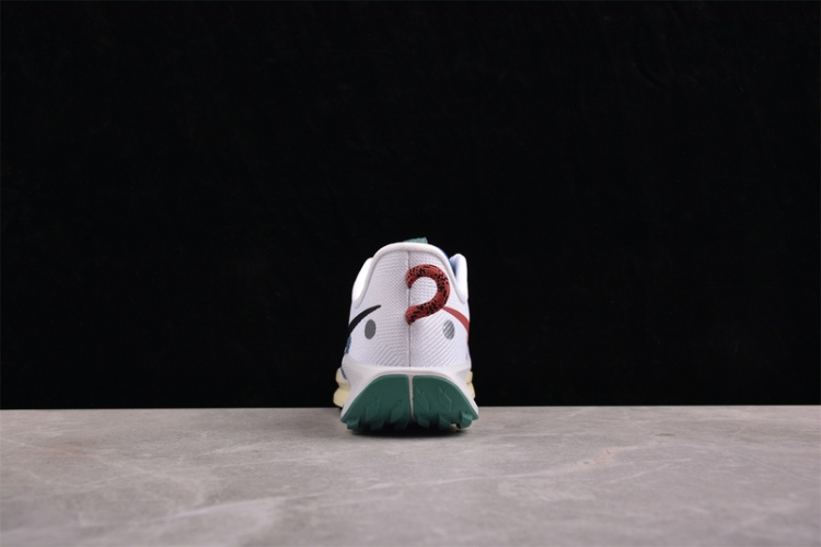  Nike Pegasus Trail 5 DV3864-100