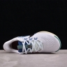 Nike Pegasus Trail 5 DV3864-100