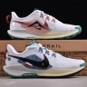 Nike Pegasus Trail 5 DV3864-100