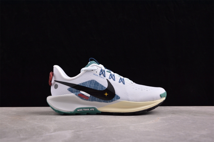  Nike Pegasus Trail 5 DV3864-100