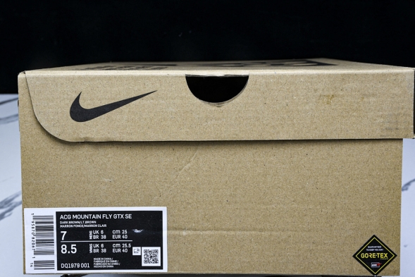 Nike ACG Mountain Fly Low GTX SE DQ1979 001 