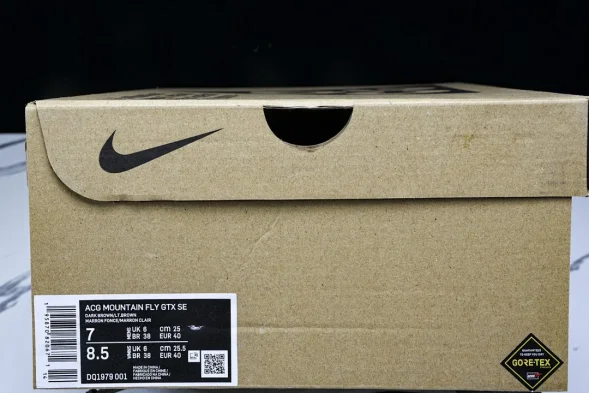Nike ACG Mountain Fly Low GTX SE DQ1979 001 