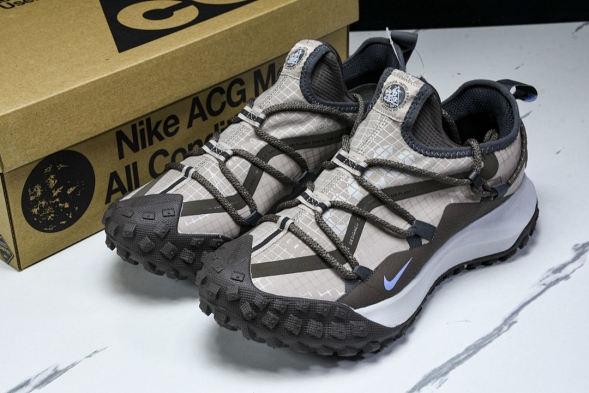 Nike ACG Mountain Fly Low GTX SE DQ1979 001 